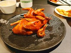 -三强鸽子(中原路店)