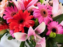 -首钢篮球中心-游泳馆