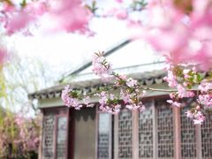 -桃花岛景观公园