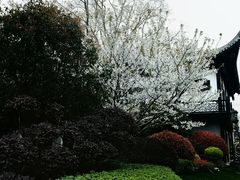 -上海皇廷花园酒店·御宴中餐厅