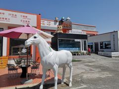 -向外鱼乐·土菜·虹鳟鱼