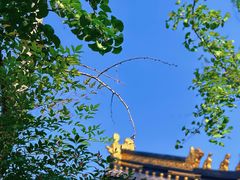 -荣县大佛