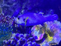 -太平洋海底世界