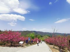 -北京西山国家森林公园