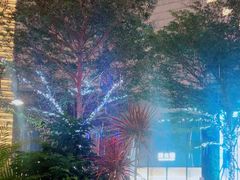 -haxnbauer海森堡德国餐厅(深圳coco店)