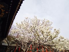 -颐和园