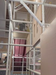 点击看大图 -超级奈尔宝SUPER NEOBIO(杭州星光店)