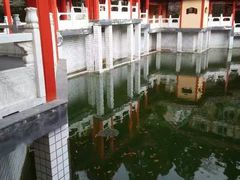 -东天目山风景区