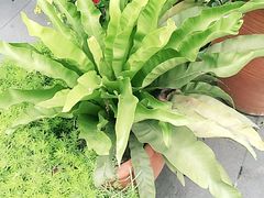 -墨居上隐·院子里火锅(峨眉店)