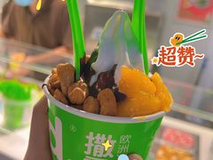 -Salud撒露欧洲冻酸奶(蓝色港湾店)