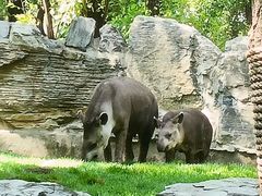 -北京野生动物园