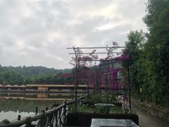 -铁山坪森林公园