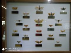 -上海昆虫博物馆