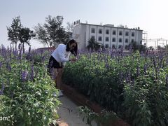 -玫瑰海岸文化旅游度假区