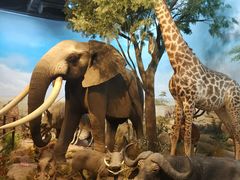 -陕西自然博物馆