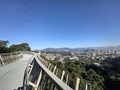-福道