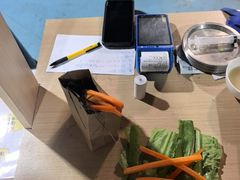 -上海大自然野生昆虫馆(东方明珠·爬宠昆虫探索中心)