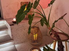 -HUATA 'Holiday Plan 花榻
