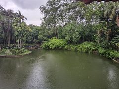 -柳侯公园