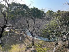 -白塘生态植物园