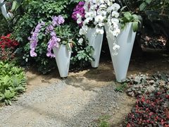 -石家庄市植物园