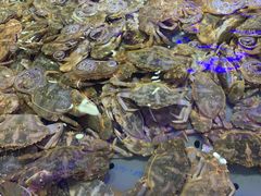 -澜悦港海鲜体验主题餐厅