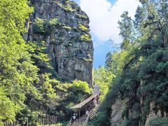 -茅兰沟国家森林公园