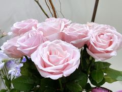 -亭亭鲜花店(中山北路店)