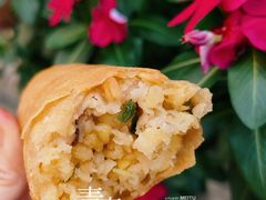 -老大小食老尾春饼