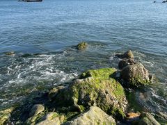 -银沙滩浴场