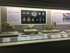 -北京大学赛克勒考古与艺术博物馆