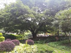 -晓港公园