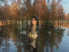 -白鹭湾湿地公园