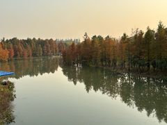 -上海长兴岛郊野公园