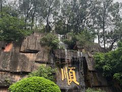 -三水森林公园