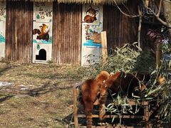 -合肥野生动物园