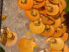 -“香”全日餐厅·株洲大汉希尔顿酒店