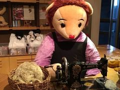 -济州岛泰迪熊博物馆