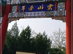 -云岗森林公园