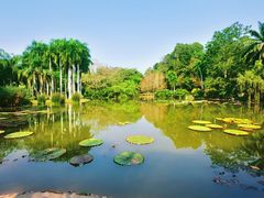 -中国科学院西双版纳热带植物园