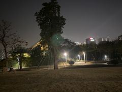 -白石龙音乐公园