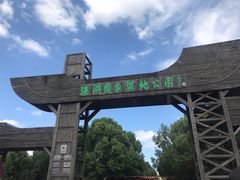 -溱湖国家湿地公园