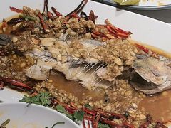 -杨氏青龙虾·羊蝎子(托乐嘉店)