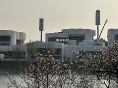 -羊山湖公园