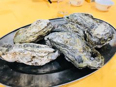 -蚝专家(北滘店)