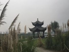 -眉山湿地公园(东坡区)