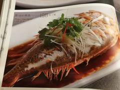 -新开元大酒店(杭州大关店)