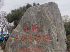 -洛阳古墓博物馆