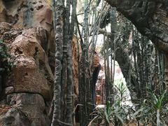 -龙达温泉生态城