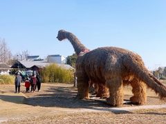 -嘉北郊野公园